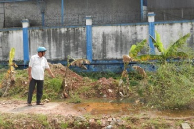 Phát hiện doanh nghiệp xả thải trái phép bức tử môi trường